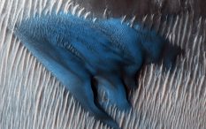 blueboo