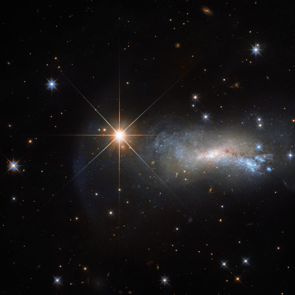In space, being outshone is an occupational hazard. This NASA/ESA Hubble Space Telescope image captures a galaxy named NGC 7250. Despite being remarkable in its own right — it has bright bursts of star formation and recorded supernova explosions — it blends into the background somewhat thanks to the gloriously bright star hogging the limelight next to it. This bright object is a single and little-studied star named TYC 3203-450-1, located in the constellation of Lacerta (The Lizard), much closer than the much more distant galaxy. Only this way a normal star can outshine an entire galaxy, consisting of billions of stars. Astronomers studying distant objects call these stars “foreground stars” and they are often not very happy about them, as their bright light is contaminating the faint light from the more distant and interesting objects they actually want to study. In this case TYC 3203-450-1 million times closer than NGC 7250 which lies over 45 million light-years away from us. Would the star be the same distance as NGC 7250, it would hardly be visible in this image.