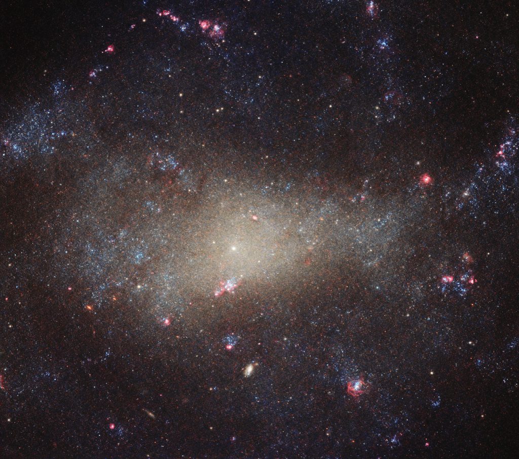 Tucked away in the small northern constellation of Canes Venatici (The Hunting Dogs) is the galaxy NGC 4242, shown here as seen by the NASA/ESA Hubble Space Telescope. The galaxy lies some 30 million light-years from us. At this distance from Earth, actually not all that far on a cosmic scale, NGC 4242 is visible to anyone armed with even a basic telescope (as British astronomer William Herschel found when he discovered the galaxy in 1788). This image shows the galaxy’s bright centre and the surrounding dimmer and more diffuse “fuzz”. Despite appearing to be relatively bright in this image, studies have found that NGC 4242 is actually relatively dim (it has a moderate-to-low surface brightness and low luminosity) and also supports a low rate of star formation. The galaxy also seems to have a weak bar of stars cutting through its asymmetric centre, and a very faint and poorly-defined spiral structure throughout its disc. But if NGC 4242 is not all that remarkable, as with much of the Universe, it is still a beautiful and ethereal sight.